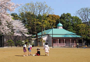 八幡山公園の画像