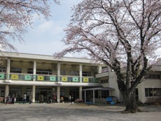平塚市立さくら幼稚園 平塚市
