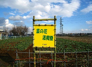 菜の花活用塾の看板の写真