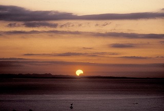 部分日食　1992年1月5日撮影の写真