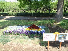 昨年花壇コンクールの作品の写真