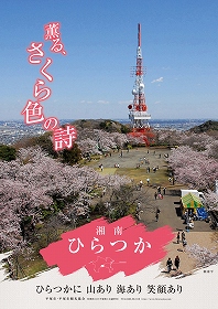 1.湘南平の桜の写真