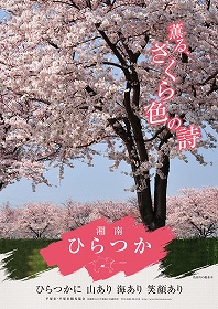 2.渋田川の桜の写真