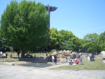 平塚総合公園写真
