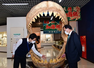 巨大サメ「メガロドン」の復元模型