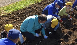 八幡小学校の児童とチューリップ球根を植える落合市長