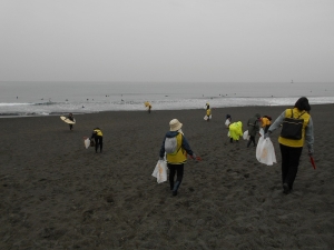 海岸清掃の写真