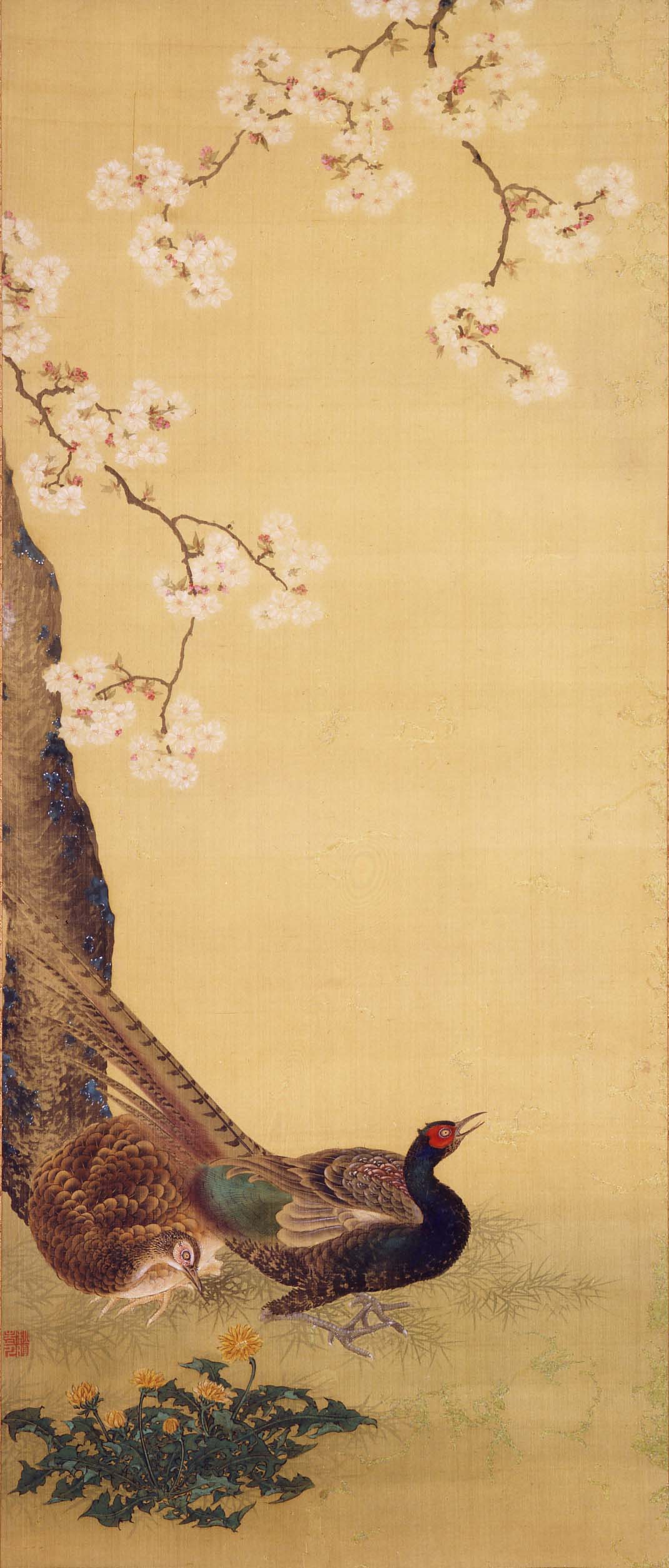 おかもとしゅうき　じゅうにかげつかちょうずより　さくらとたんぽぽにきじ　えどじだいこうき　とうかんきたく