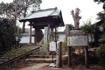 平塚八景松岩寺の画像