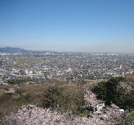 湘南平から北東を眺めた写真