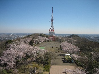 湘南平から東を眺めた写真