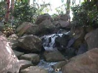 日本庭園源泉の画像