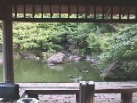 日本庭園四阿からの風景画像