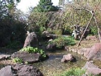 日本庭園流れの画像