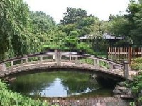 日本庭園木橋の画像
