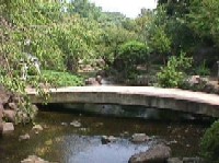日本庭園石橋の画像