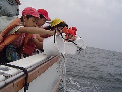 子供たちが海にヒラメを放流する様子の写真　その1