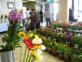 昨年の春の花き展の写真