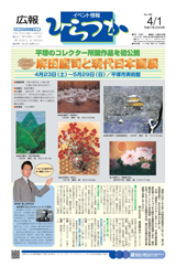 広報ひらつか　788号（4月1日発行）の表紙