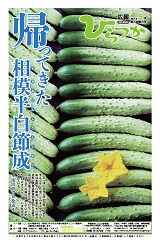 広報ひらつか 958号(5月第1金曜日発行)の表紙
