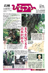 広報ひらつか　697号（6月15日発行）の表紙
