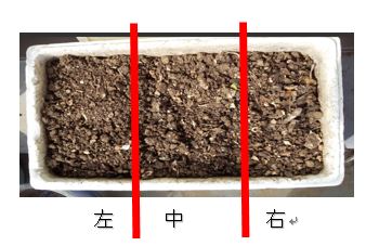 生ごみを入れる