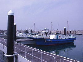 フィッシャリーナと遊漁船の写真
