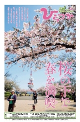 広報ひらつか 979号(3月第3金曜日発行)の表紙