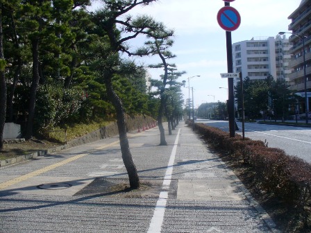 なぎさプロムナードの歩道