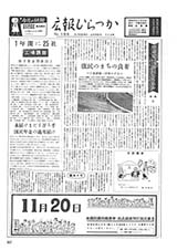 広報ひらつか　106号（11月10日発行）の表紙