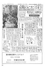 広報ひらつか　90号（7月10日発行）の表紙