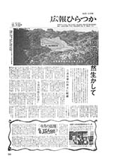 広報ひらつか　373号（8月15日発行）の表紙