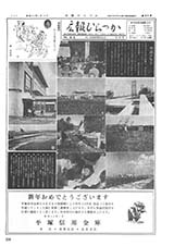 広報ひらつか　84号（1月10日発行）の表紙