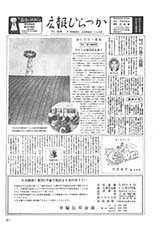 広報ひらつか　94号（11月10日発行）の表紙