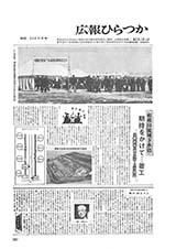 広報ひらつか　229号（11月15日発行）の表紙