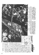 広報ひらつか　号外（10月1日発行）の表紙