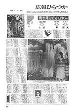 広報ひらつか　213号（7月15日発行）の表紙