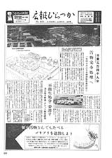 広報ひらつか　99号（4月10日発行）の表紙