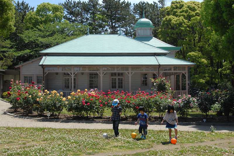 旧横浜ゴム記念館のバラ