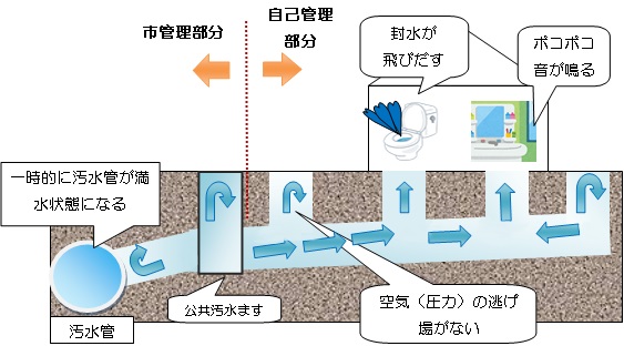 汚水管から逆流する概要図