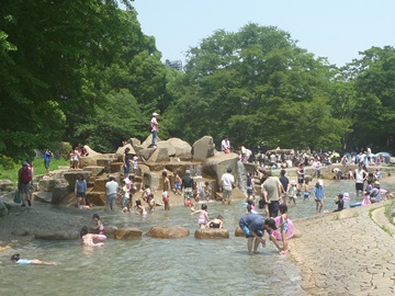 流れの広場下流の画像