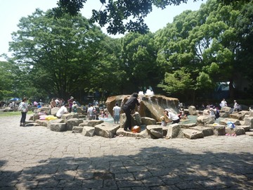 流れの広場上流の画像