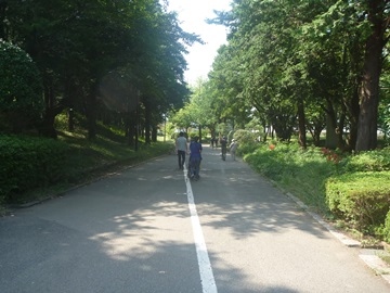 総合公園の園路の写真