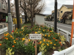地域見守り花植え活動の画像