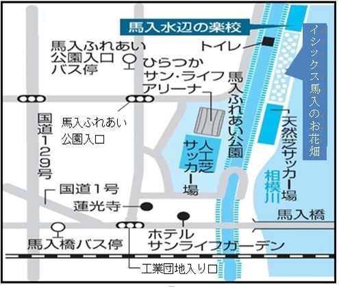 信号：工業団地入り口を北上し、信号：馬入ふれあい公園を右に曲がり直進すると馬入ふれあい公園に到着します。相模川堤防に上がりすぐに下りたところが花畑になります。