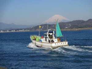 湘南ひらつかアマダイ沖釣り大会