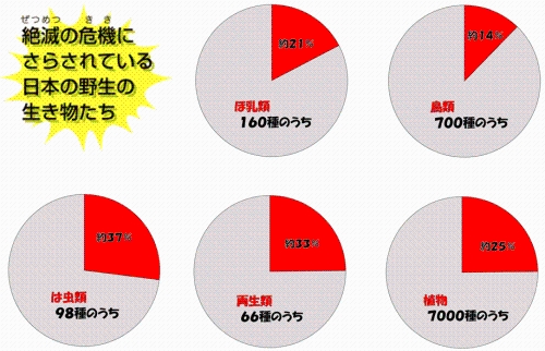 絶滅危機となっている日本の野生の生き物