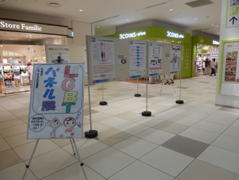今回の展示の様子