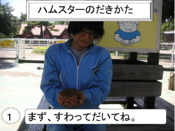 ハムスターの捕まえ方、抱き方1：まず座って抱いてね