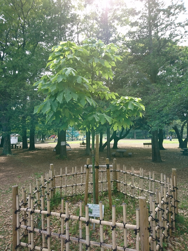 5月14日（金曜日）